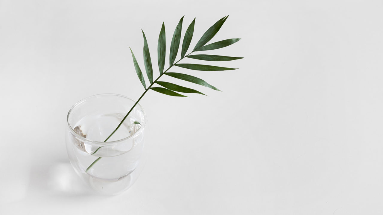 Leaf with a Glass of Water
